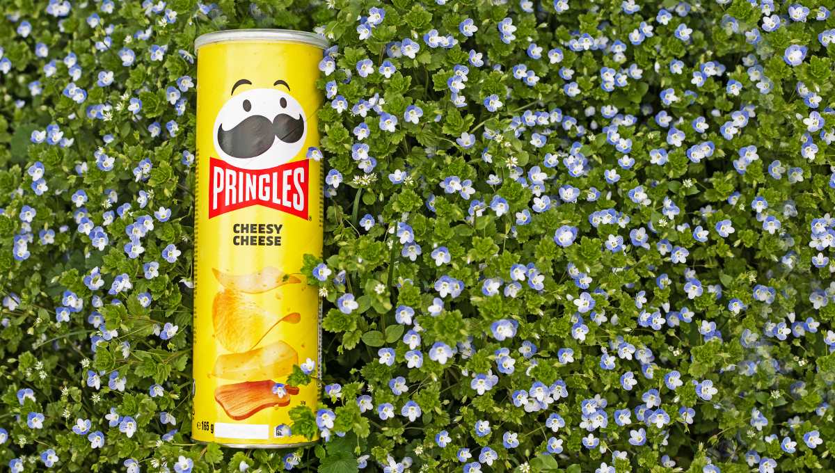 Is Pringles Halal? A Comprehensive Guide